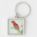 Search for ornithology keychains Ornithological