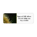 Search for spike return address labels Nature