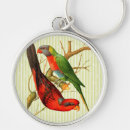 Search for red parrot keychains Parrots