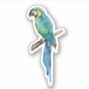 Recherche de macaw autocollants Tropical