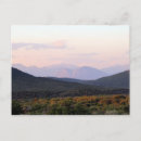 Search for coed postcards Sunset