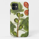 Search for herbal iphone cases Fl 1757 82