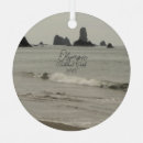 Search for pacific northwest ornaments Olympic national park