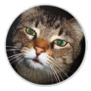 Recherche de tigres boutons et poignées de porte Pour tous