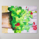Search for red geranium posters Green