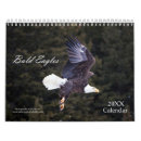 Search for bald eagle calendars Birds