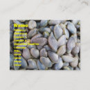 Recherche de palourde cartes visite Fruits de mer