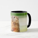 Search for woodchuck mugs Animal