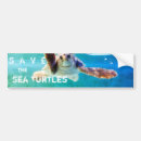 Search for sea animal bumper stickers Turtle