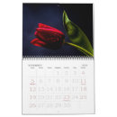 Recherche de flowers calendars Rose