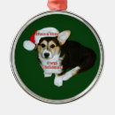Search for pup ornaments Pembroke