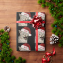 Search for funny cat wrapping paper Xmas