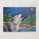 Search for wolf howling postcards Wilderness