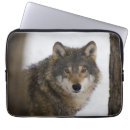 Search for wolf electronics Nature
