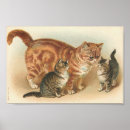 Search for vintage kitten posters Feline