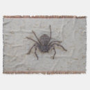 Search for huntsman Huntsman spider