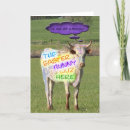 Search for cow easter cards Farm