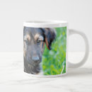 Search for shepherd puppy mugs Park