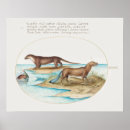 Search for otter art Cute