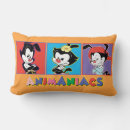 Search for kids show pillows Animaniacs