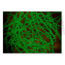 Search for pneumonia postcards Inflammation