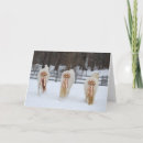 Recherche de horse holiday cards Cheval