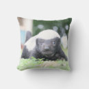 Search for badger pillows Wildlife