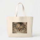 Search for maine coon cat bags Cats