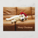 Search for sofa christmas cards Dog