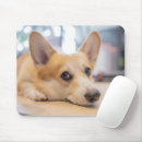 Recherche de corgi tapis souris Chien de la reine