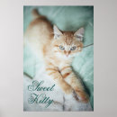 Search for cat lying down posters Animal
