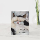 Search for closed cards Kitty