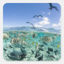 Search for lagoon stickers Nature