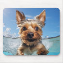 Recherche de yorkshire terrier tapis souris Mignon