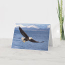 Search for alaska eagle cards Animal