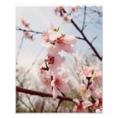Search for sping Flower