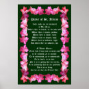 Search for christmas cactus posters Flowers
