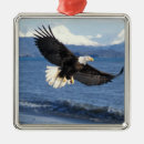 Search for wildlife ornaments Fauna