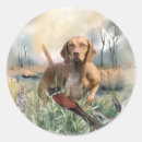 Search for vizsla stickers Hunting