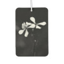 Recherche de minimal voiture accessoires Noir