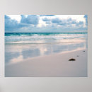 Search for pink sand beach posters Water