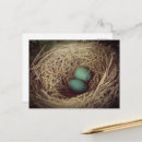 Search for robins egg blue postcards Cute