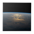 Search for limbs tiles Natural world