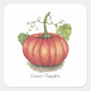 Search for cute vegetable stickers Pumpkin