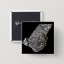 Search for fern leaf buttons Leaves