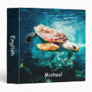 Search for sea turtle binders Animal