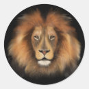 Search for male lion stickers King