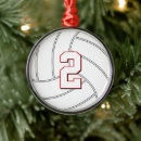 Search for volleyball ornaments Team