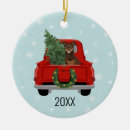 Search for australian ornaments Pet
