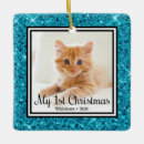 Search for aqua ornaments Glitter